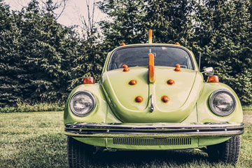 bug-car