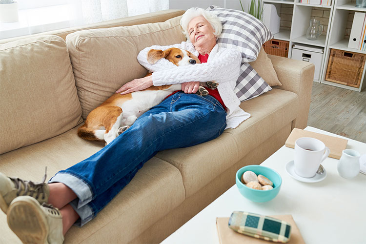 Woman napping with dog