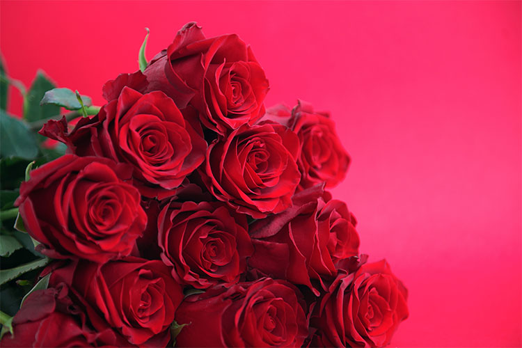 Dozen Red Roses