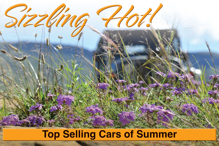 Sizzling Hot - Top Selling Cars for Summer