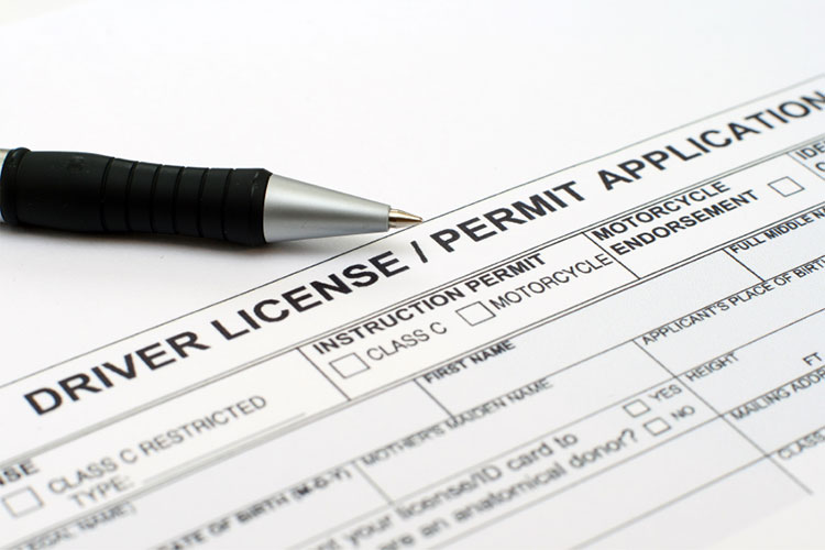Drivers License Permit Application