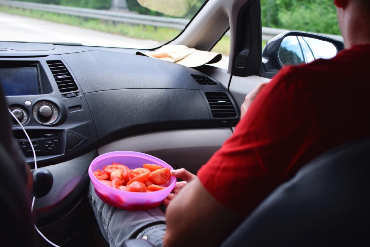 Road trip snacks guide for your car