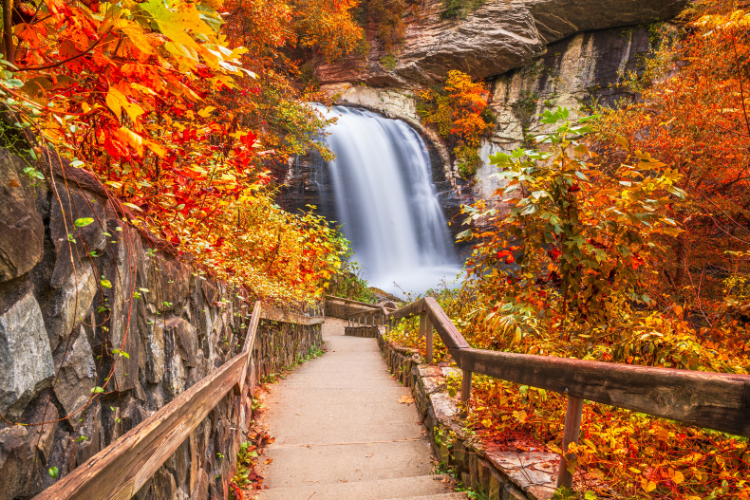 Autumn festivities in the United States 