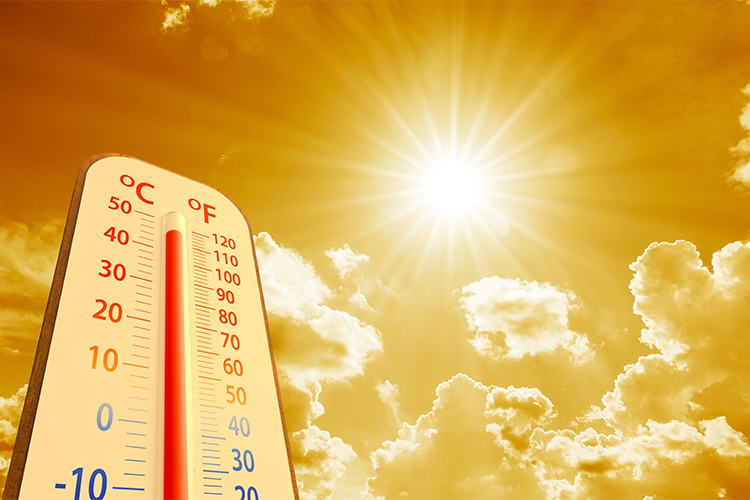 Plan for the Climate