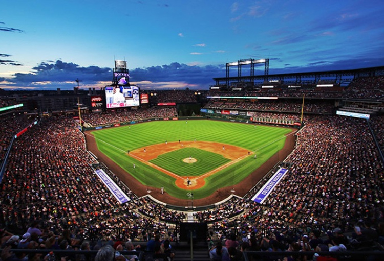 Sports, Sports, and More Sports