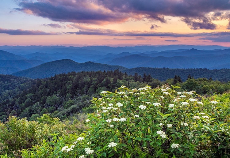 Great Smoky Mountains, Tennessee and North Carolina