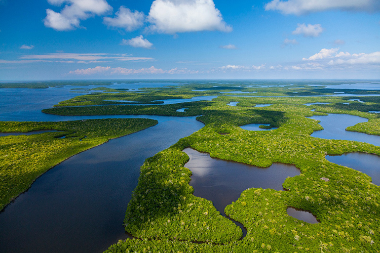 Everglades National Park, Florida