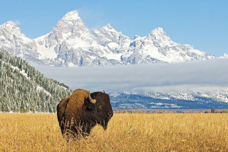 Grand Teton, Wyoming