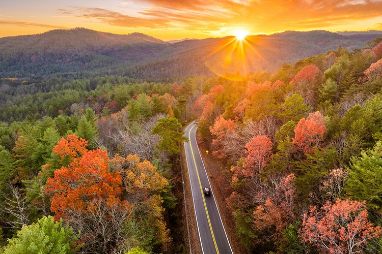 Get Familiar with Driving in the United States